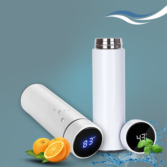 Temperature water bottle